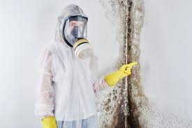 Best Commercial Mold Inspection  in Potomac Park, CA